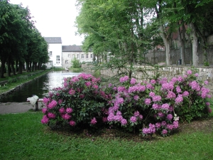 Der Park in voller Blüte